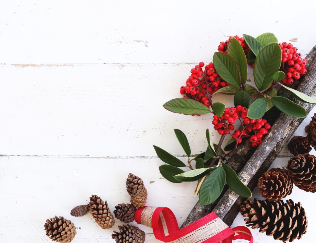 idées de cadeaux pour enfant de 6 à 12 mois